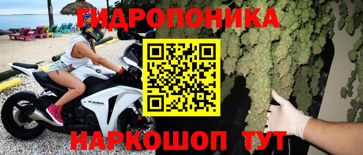 Каннабис SATIVA & INDICA Сызрань
